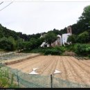 포남2동-1 이미지