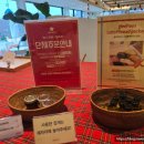 킹콩하우스 애견카페 | 대전 글리하우스 카페 후기｜아이·애견동반 가능, 수유실까지 완벽