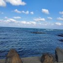 라일락민박 이미지