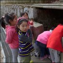 현대경복유치원 이미지