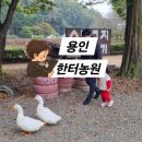 한터농원 영농조합법인 이미지