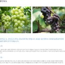 현희 농장 이미지