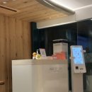 진아트덴탈 | [시험관1차,난자채취후기]오비드렐,데카펩틸,채취전주의사항,시험관영양제