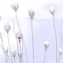 오토웨이 이미지