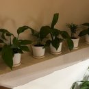 ATTO COFFEE 이미지