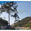 백송식당 이미지