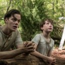 The Devil All The Time 이미지