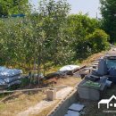 남지읍사무소 사거리 이미지