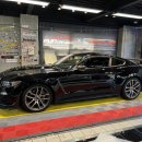 글램(GLAM) 이미지