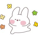 쏘주카페 이미지