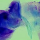 킴리동물병원 이미지