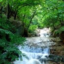 대운상대길 이미지