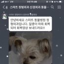 24시 스마트동물병원(신사본원) 이미지