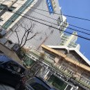 라이노플라워