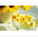 주미목장 이미지