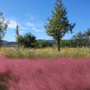 강변장여관 이미지