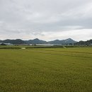 삼송어린이집~삼송역8번출구 이미지