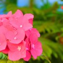 동평초등학교 이미지