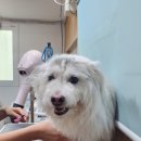 살롱 드 위드멍 이미지