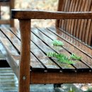 방아다리길 이미지