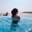 비고리조트 4 이미지