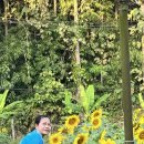 태국골프 그린월드 소식지 이미지