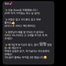 대구 고양이 미용 밀꼬냥 이미지