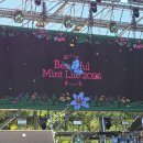 2026 뷰티풀민트라이프 우선 입장권 후기 | 페스티벌 스탠딩 펜스 잡기