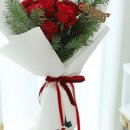 플레온느