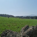 좋은빛목장 이미지