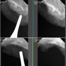 차암동물병원 이미지
