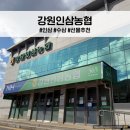 인삼농협판매장 | "강원인삼농협"에서 인삼농협 선물 구매 후기