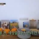 몽몽이엠파크 이미지