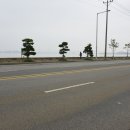 상록수공원 이미지