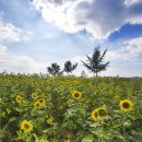 고창이네 이미지