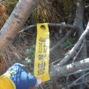 화진포생태박물관 이미지