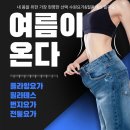다이어트요가-C | 수원역다이어트 / 고등동플라잉요가 C요가 수련 후기 힐피요