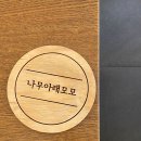 나무아래모모