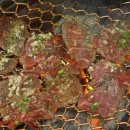 강남축산 이미지