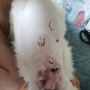 나온동물병원 이미지