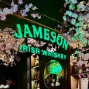 강남-274 | [다니에르 맛집] 이자카야 미주 강남2호점 강남역 룸 이자카야 후기