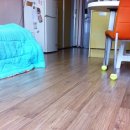 파라공인중개사사무소 이미지