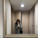 하이원펫클럽 | [강원 정선] 하이원리조트 힐콘도 펫클럽 D동 545호 후기 | 애견동반 숙소