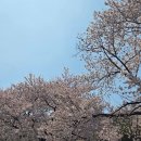 분수2리 | 계곡물이 흐르는 야장 맛집·분위기 맛집 [가창 감나무집] 숯불닭구이 추천