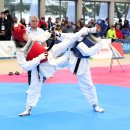 정의태권도체육관 이미지