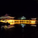 오릉 남쪽 화장실 | 10월 경주 가볼만한곳 Top 5 여행지 카페 추천 실시간