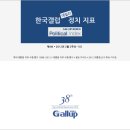 한국 갤럽 2째주 정치지표 여론조사, 리얼미터 주간 정기 여론조사, 이미지