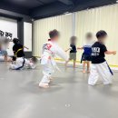 경희대 최강 태권도 이미지