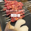 미정숯불생고기 | 울산 북구 송정 숯불에 구워먹는 생양꼬치 : [램마을] 너무 맛있게 먹었던 내돈내산 후기