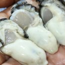 싱싱푸드 이미지